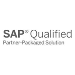 SAP Qualified Partner-Packaged Solution Logo