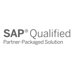 SAP Qualified Partner-Packaged Solution Logo