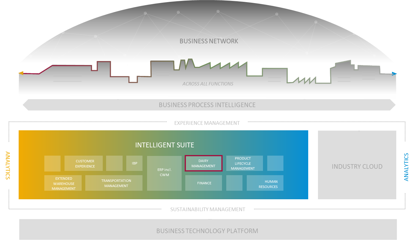 SAP Intelligent Suite